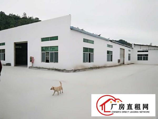  虎门沙角新出洗水漂染工业厂房2680平方招租（可分租）