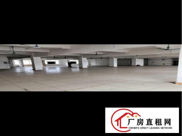 虎门北柵地铺厂房招租