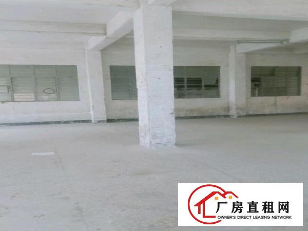  本栋厂房可做物流和仓库