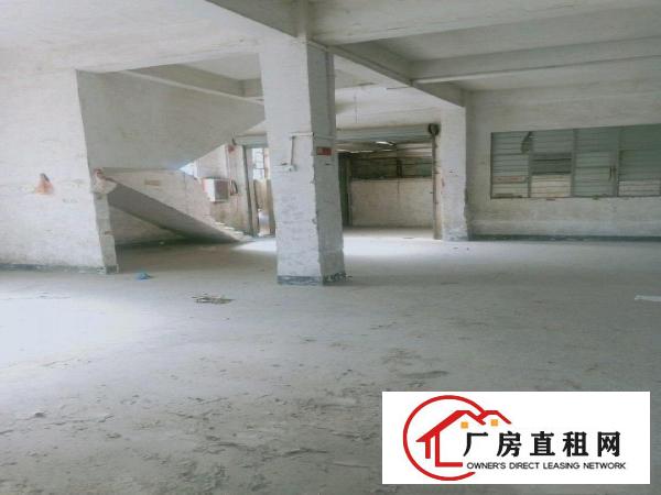  本栋厂房可做物流和仓库