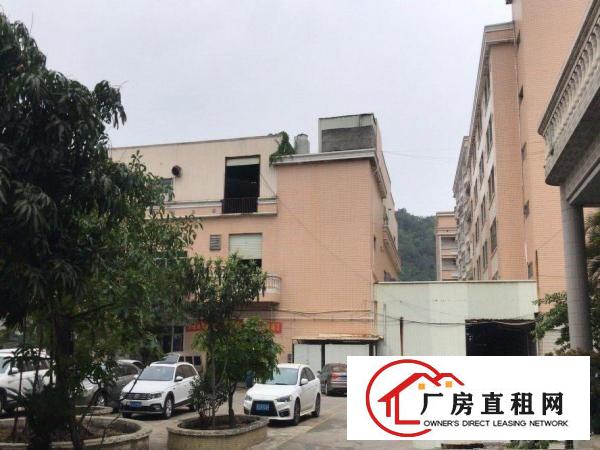  出租虎门镇路东环评厂房