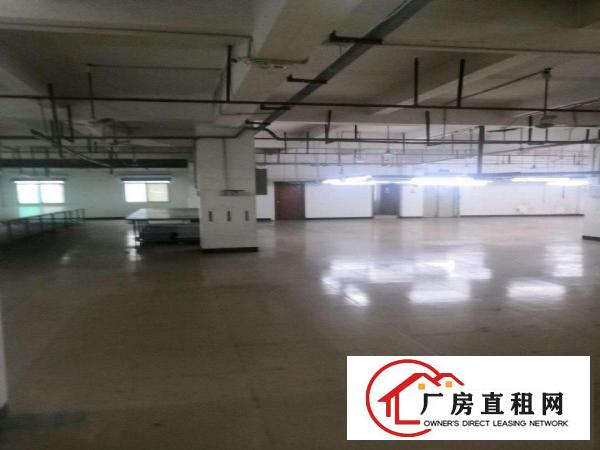 八楼，制衣厂裁床丶线路、灯光设备。有电梯有保安。，