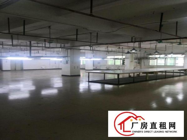  八楼，制衣厂裁床丶线路、灯光设备。有电梯有保安。，