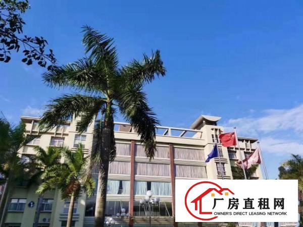  花园式厂房，免租6个月。特价招租