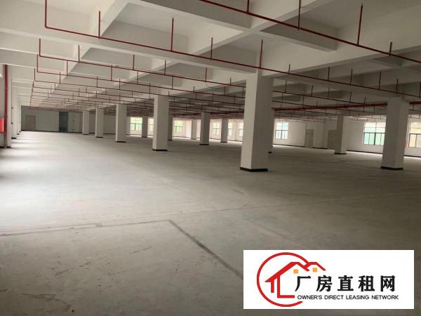  花园式厂房，免租6个月。特价招租