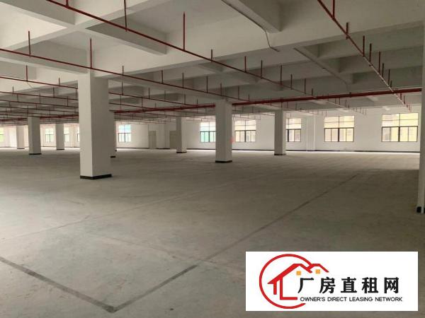  花园式厂房，免租6个月。特价招租