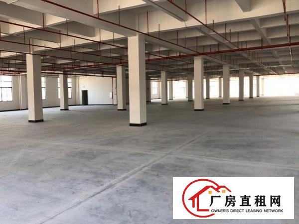  花园式厂房，免租6个月。特价招租