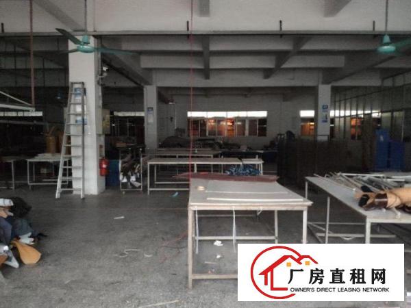  虎门镇口一楼原房东厂房1100平厂房招租！面积实在！