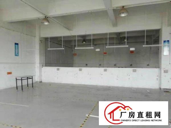  虎门镇大宁新出楼上650平方米带装修出租