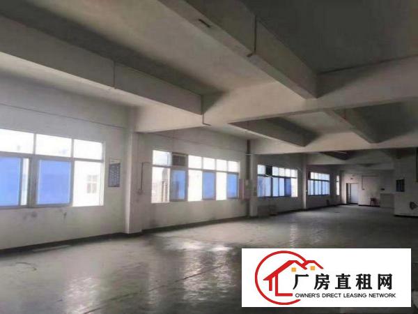  龙眼工业区花园式厂房分租3楼1250证件齐全现成办公室