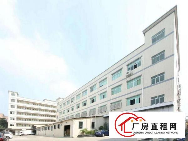  出租虎门镇白沙三村福新路3号1楼