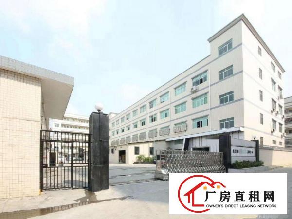  出租虎门镇白沙三村福新路3号1楼