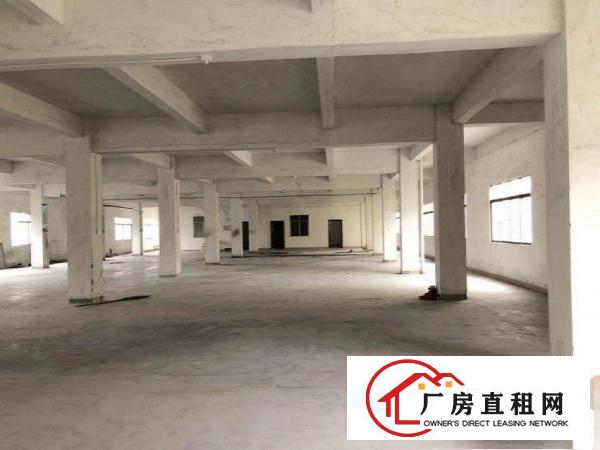  东方原房东标准电梯厂房1100平方，配3吨电梯
