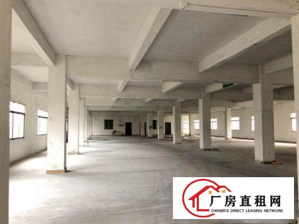  东方原房东标准电梯厂房1100平方，配3吨电梯