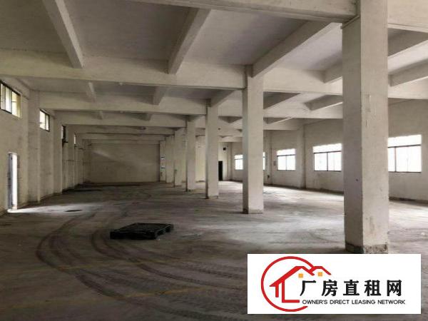  东方原房东标准电梯厂房1100平方，配3吨电梯