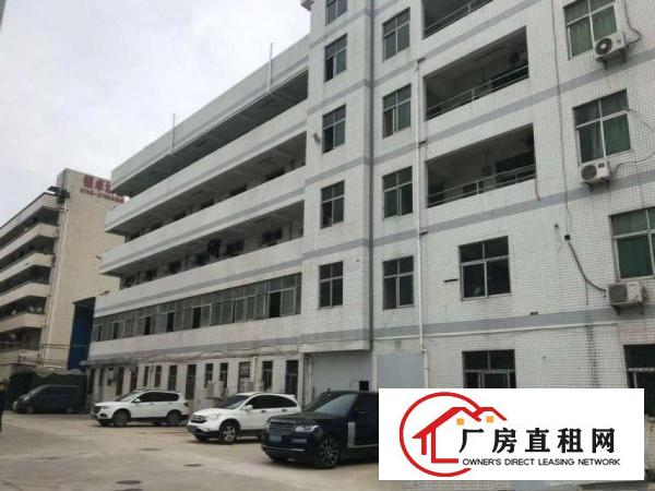  沙角工业区新出一楼1550平方，厂房现成装修