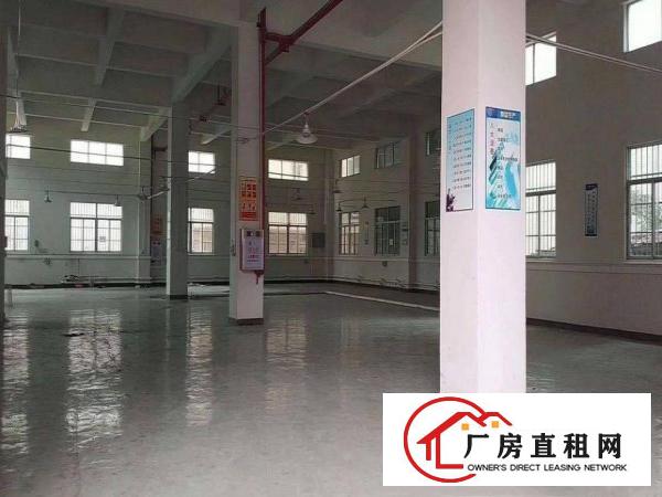  沙角工业区新出一楼1550平方，厂房现成装修