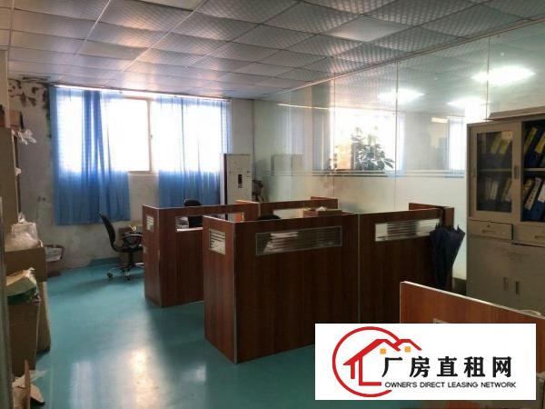  虎门新出实际面积出租14元/平厂房