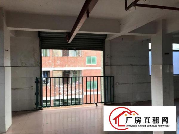  虎门北柵小型加工厂房