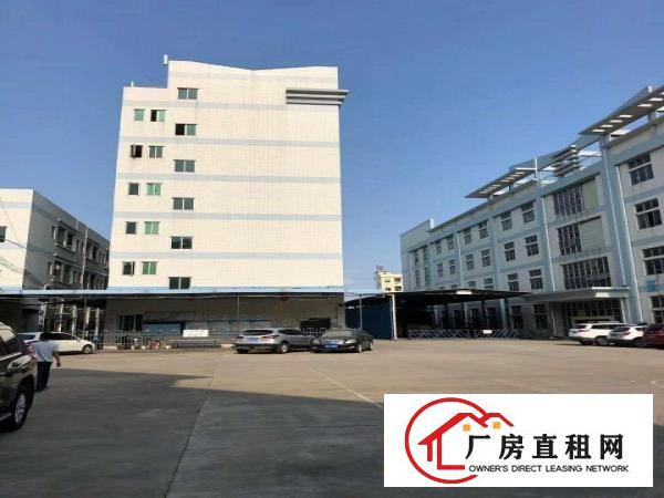 虎门原房东独院厂房整租出租，形象优美