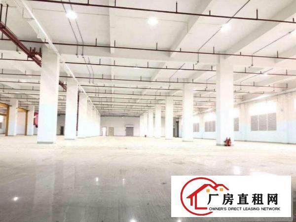  出租虎门镇白沙（8米高带环评）标准一楼厂房2500平