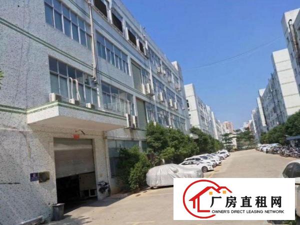  出租虎门镇镇口（超大前台豪华装修）电商电子二楼650