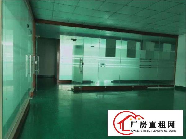  出租虎门镇镇口（超大前台豪华装修）电商电子二楼650