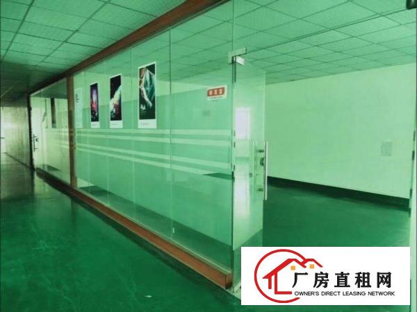  出租虎门镇镇口（超大前台豪华装修）电商电子二楼650
