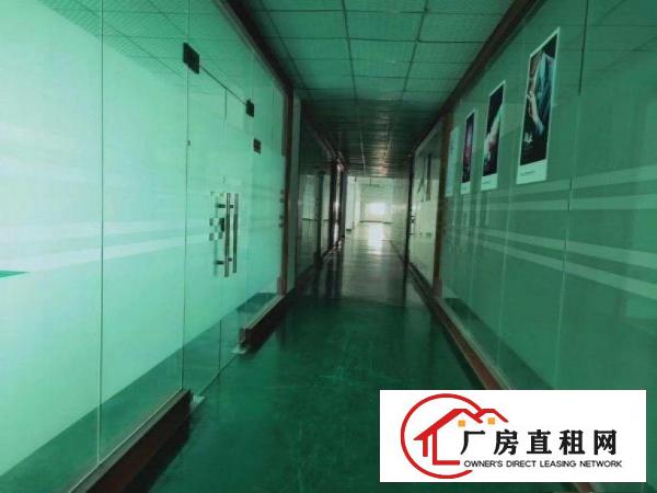  出租虎门镇镇口（超大前台豪华装修）电商电子二楼650