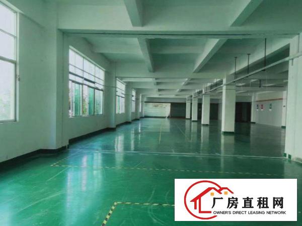  出租虎门镇镇口（超大前台豪华装修）电商电子二楼650