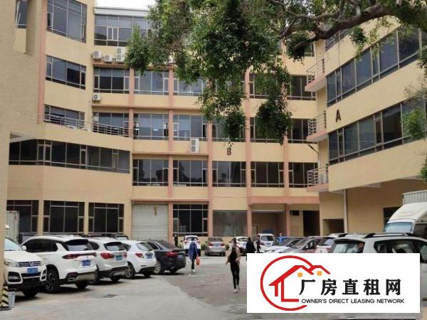  东风工业区独门独院新出一楼1200平出租水电办公室齐全