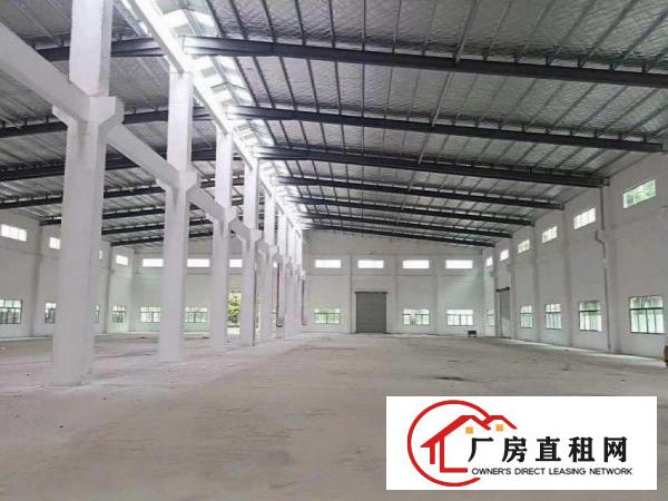  树田工业区3500平方米砖墙到顶带牛角重工业厂房