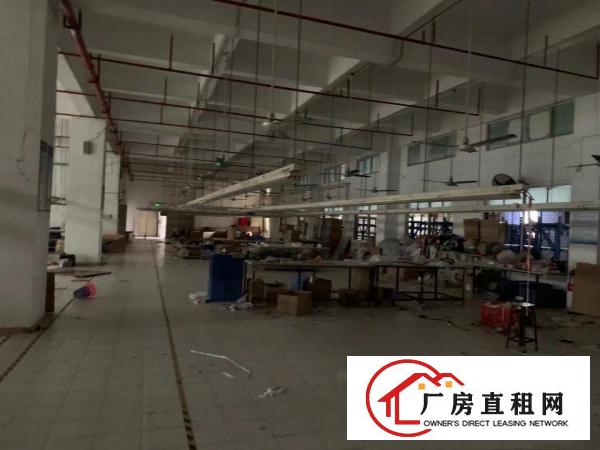  东莞市虎门镇白沙一楼1700平方实际面积带消防喷淋适合做仓库