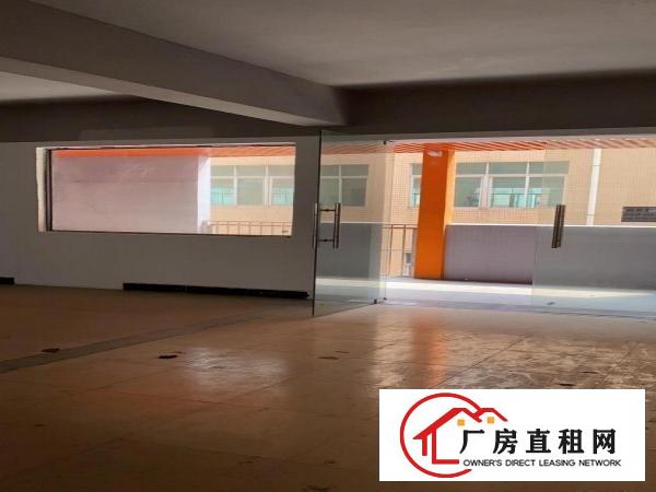  虎门北栅新出原房东1楼厂房出租实际面积可办环评