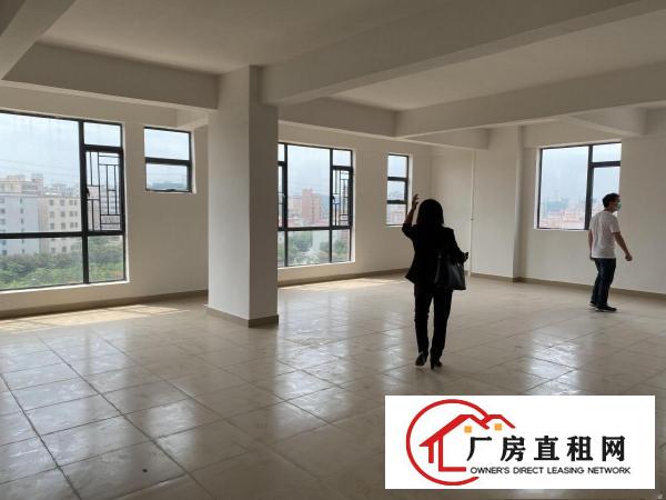  虎门北栅新出原房东1楼厂房出租实际面积可办环评