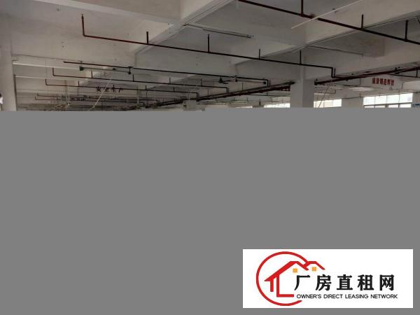  白沙康城创意园大小面积可分拎包即可生产