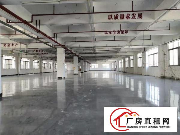  白沙康城创意园大小面积可分拎包即可生产