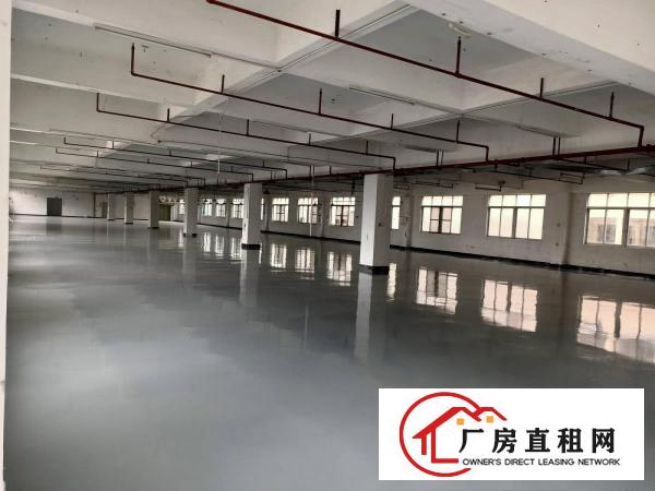  白沙康城创意园大小面积可分拎包即可生产