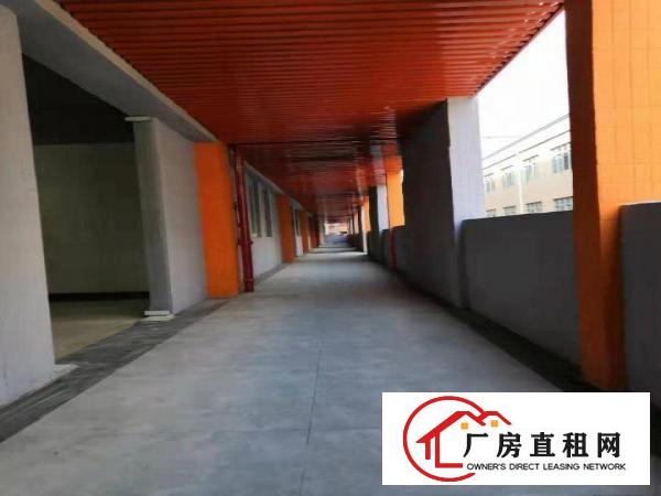  白沙康城创意园大小面积可分拎包即可生产