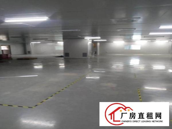  北栅原房东1580平方厂房出租证件齐全