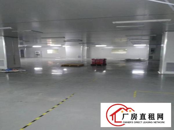  北栅原房东1580平方厂房出租证件齐全
