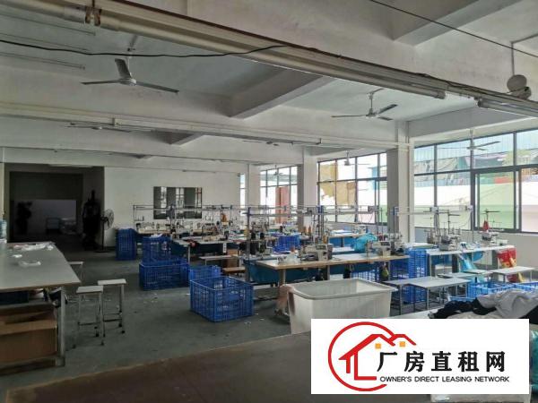  虎门龙眼标准厂房5楼400平出租精装修水电齐全
