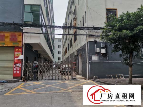  虎门龙眼标准厂房5楼400平出租精装修水电齐全