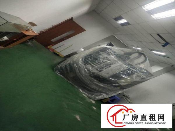  新出！虎门精品一楼厂房735平米（带装修）