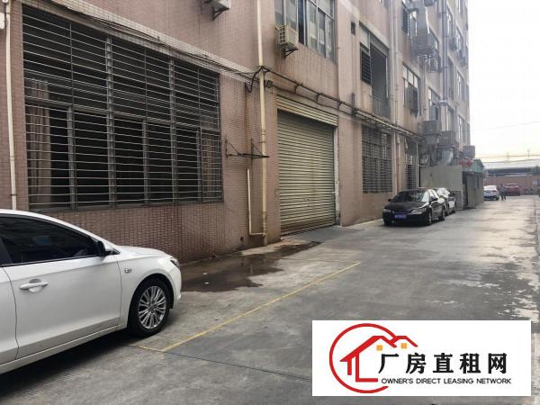  新出！虎门精品一楼厂房735平米（带装修）