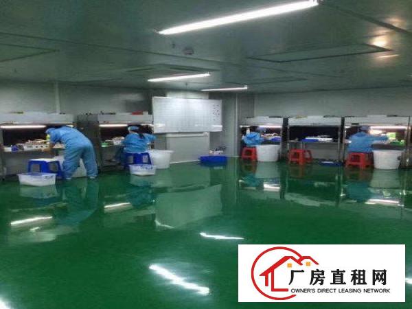  万级无尘车间单层1800共7200平4层豪华装修出租虎门