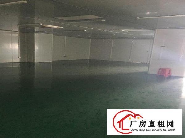  万级无尘车间单层1800共7200平4层豪华装修出租虎门
