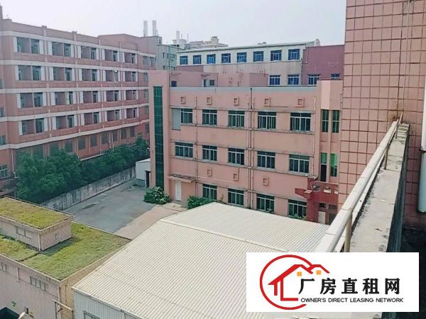  绝！长安新出厂房20000靓盘！任意分租2000平