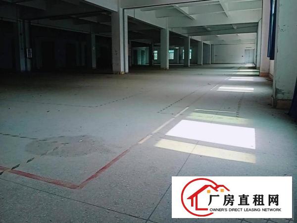  绝！长安新出厂房20000靓盘！任意分租2000平