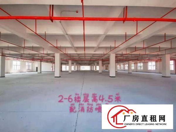  全新重工业花园式厂房免租半年